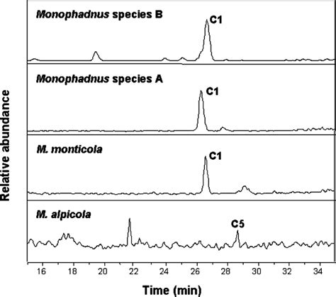 Hplcesims Base Peak Chromatograms Of Hemolymph Extracts From Download Scientific Diagram