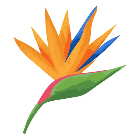 Bird Of Paradise Tropical Flower Png Svg Design For T Shirts