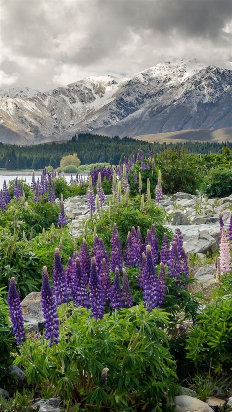New Zealand Landscape Wallpaper