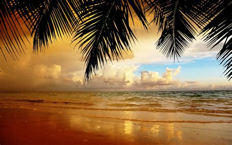 4k Dusk Red Beach Tropical Water Sunrise Evening Nature Sand