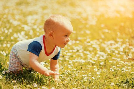 A qué edad aprende el bebé a gatear y qué hacer si no gatea