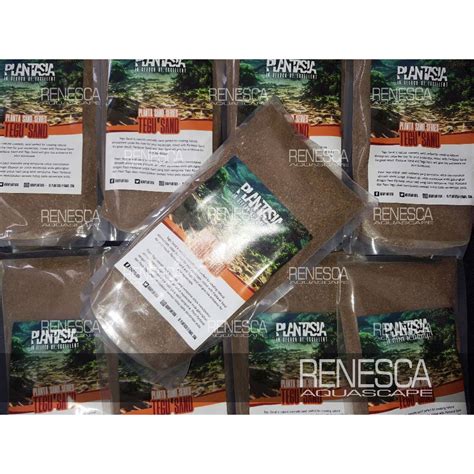 Jual Plantasia Tegu Sand Kg Pasir Kosmetik Aquascape Aquarium