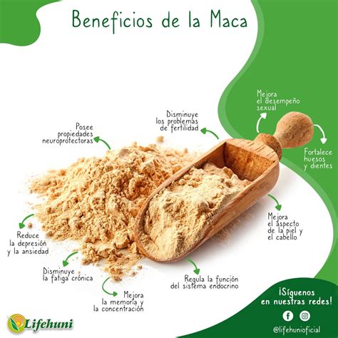 BENEFICIOS DE LA MACA REGULA PESO