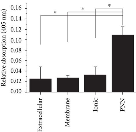 Nptx2 Binds To The Pnn A Sequential Buffer Treatment Of Homogenized