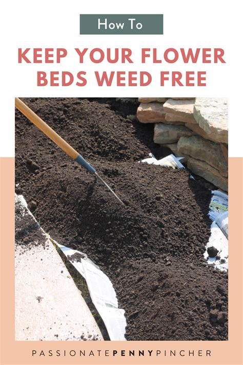 How To Keep Weeds Out Of Flower Beds So Simple