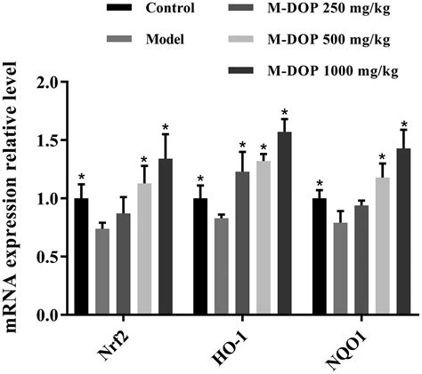 Ultrasonic Treatment Of Dendrobium Officinale Polysaccharide Enhances