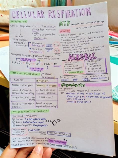 Cellular Respiration I Tried😅 Biology Notes Ap Biology Science