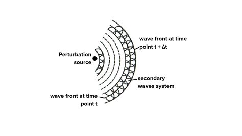 Why there is no backward wavefront in Huygen's theory?