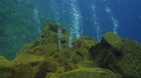 Temuan Gunung Bawah Laut Di Pacitan Wecare Jatim