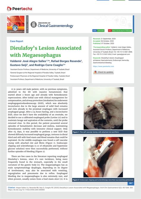 Pdf Dieulafoy’s Lesion Associated With Megaesophagus