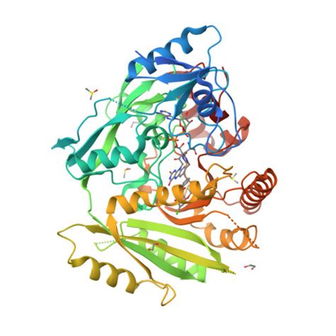 Rcsb Pdb Yap Crystal Structure Of Zmcko A In Complex With Inhibitor