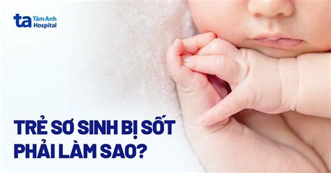 Cách chữa trị khi ăn tôm bị đau bụng phải làm sao hiệu quả