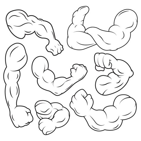 Outline Muscular Hand Collection Muscle Arm Vector Illustration