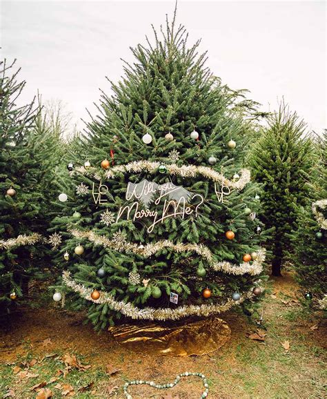 A Christmas Tree Farm Proposal That’s Straight Out of a Rom-Com