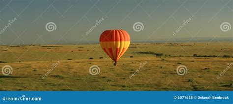Hot Air Balloon Over Masai Mara Stock Photo Image Of Bush Plains