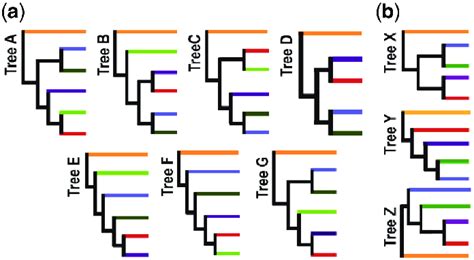 Backbone Topologies Each Branch Represents Species Within A Given