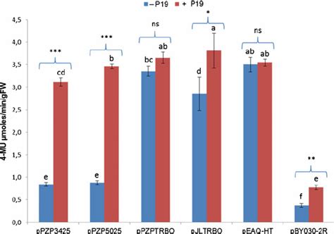 gus activity assay   expression vectors  gus activity