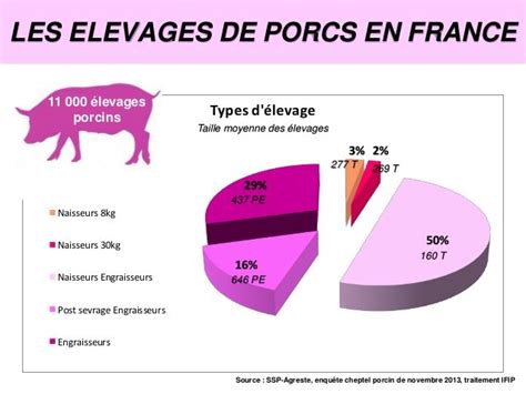 La Fili Re Porcine Sevrage Enqu Te La Laiti Re