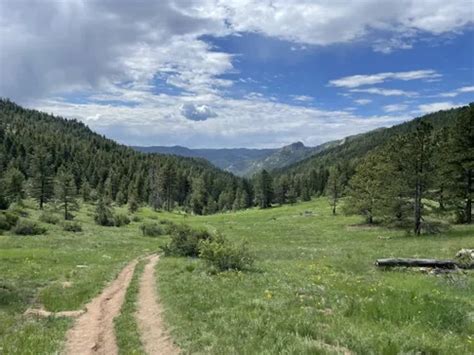 10 Best trails and hikes in Lyons | AllTrails