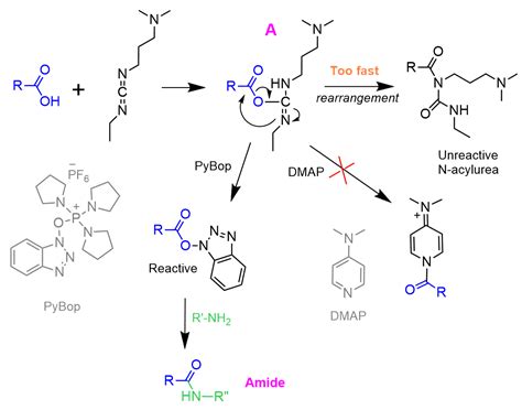 Amides From Carboxylic Acids Dcc And Edc Coupling Chemistry Off