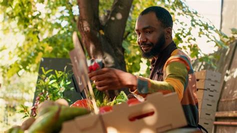 Premium Photo | African american farmer selling box of fresh eco ...