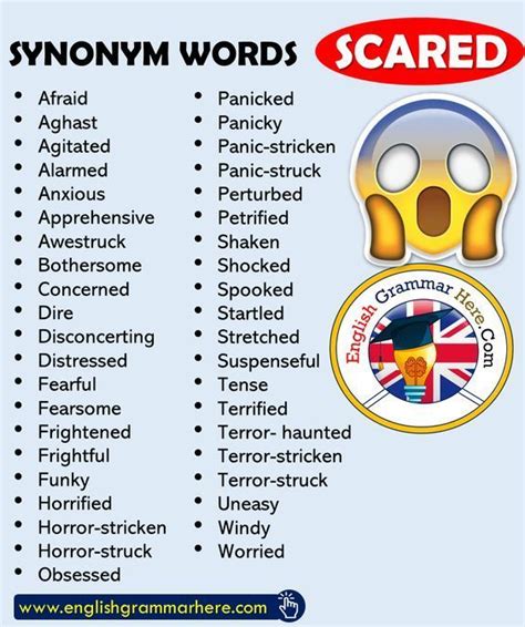 Synonym Words For Scared ️ ️ ️ Ittt English Grammar Learn English