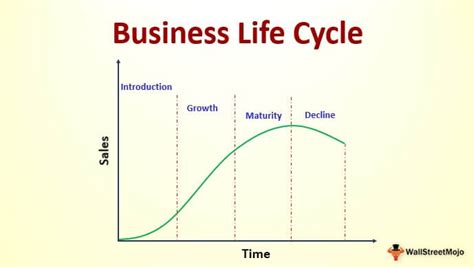 Business Life Cycle - Definition, Overview of Top 4 Stages