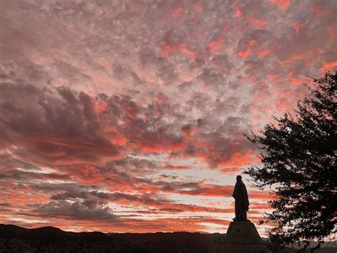 The Sky Is Red And Pink As It Sets Over A Statue In Front Of A Tree