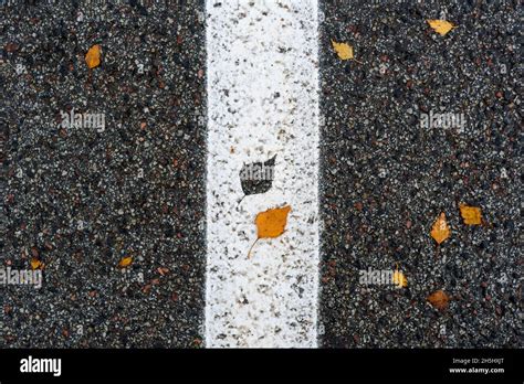 White Road Median Strip With Leaf Imprint And Yellow Birch Leaf Near It