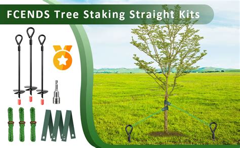 Heavy Duty Tree Stake Kits Tree Stakes And Supports For