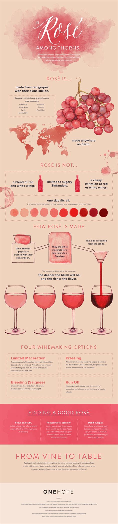 Rosé 101 Everything You Need To Know Onehope Wine