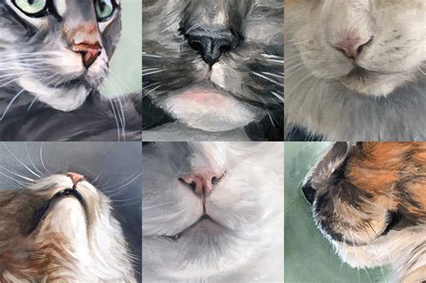 Ultimate Guide How To Draw Paint Cat Noses