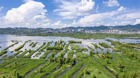 贵州毕节：厚植绿色发展底蕴 扩增生态产业红利 新闻频道 中山网