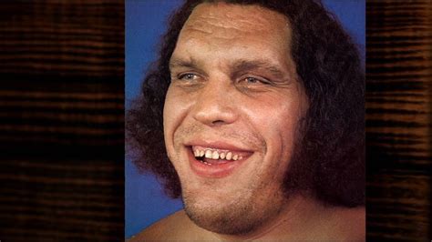 André The Giant Vs Arnold Schwarzenegger Wie Was De Grootste En Sterkste Ontdek Het Hier