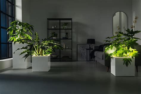 Lechuza Canto Premium High Planter Led Interismo Uk