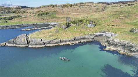 Spring Basking Shark & Island Adventure Wildlife Tour - Basking Shark ...