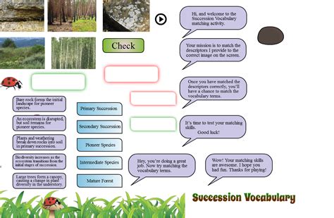 Characteristics Of Ecological Succession