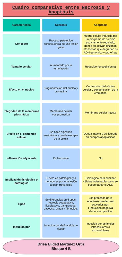 Cuadro comparativo Necrosis y apoptosis Característica Tamaño celular