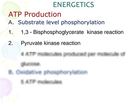 Solution 2 Regulation Of Glycolysis Studypool