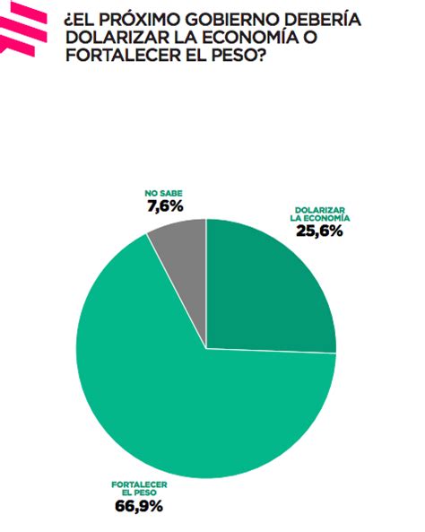 Contradicciones Argentinas Los Datos Finales De La Encuesta Que