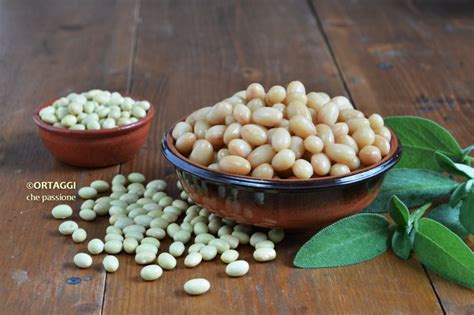 FAGIOLI In Pentola A Pressione Cottura Veloce ORTAGGI