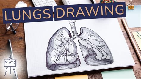 How To Draw Lungs Step By Step Realistic YouTube