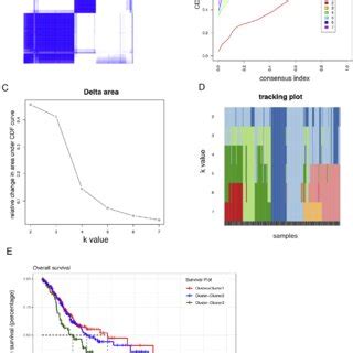 Identification Of Molecular Subtypes By The Unsupervised Consensus