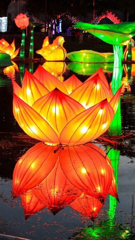 Stars Of Hope On Fifth Capiz Shell Christmas Lantern Parol Display At