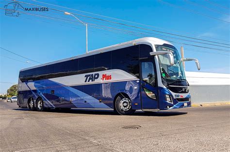 Maxibuses Transportes Y Autobuses Del Pac Fico Plus Tap