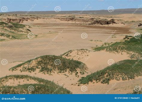 Oasis in the Desert Gobi stock photo. Image of river - 37412848