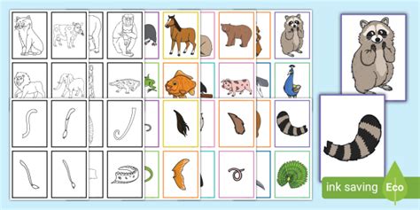 Animal Tails Matching Cards Game - Twinkl Games and Activities