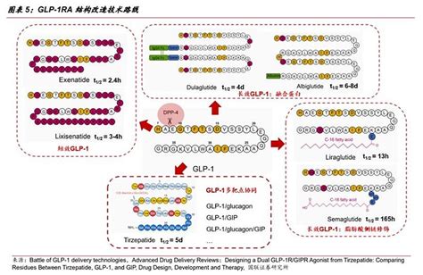 Glp 1药物行业深度：研发历史、市场现状、产业链及相关公司深度梳理（慧博出品） 作者：慧博智能投研 Glp 1药物作为降糖减肥的重要药物类别