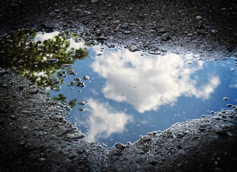 Puddle Water Reflection - Free photo on Pixabay