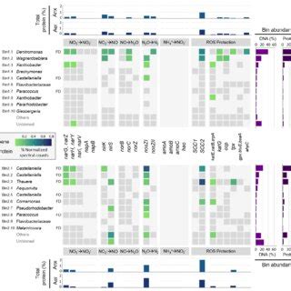 Genomic And Proteomic Profiles Of The Top 10 Most Abundant High Quality